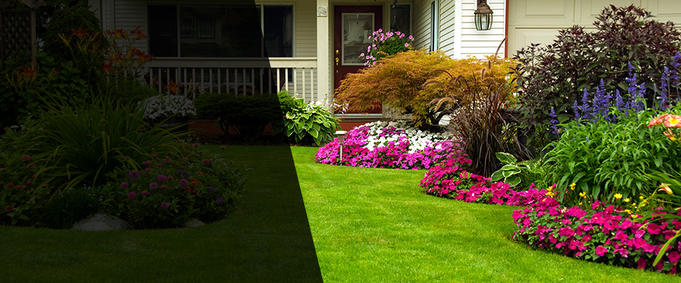 Dresher Landscapers