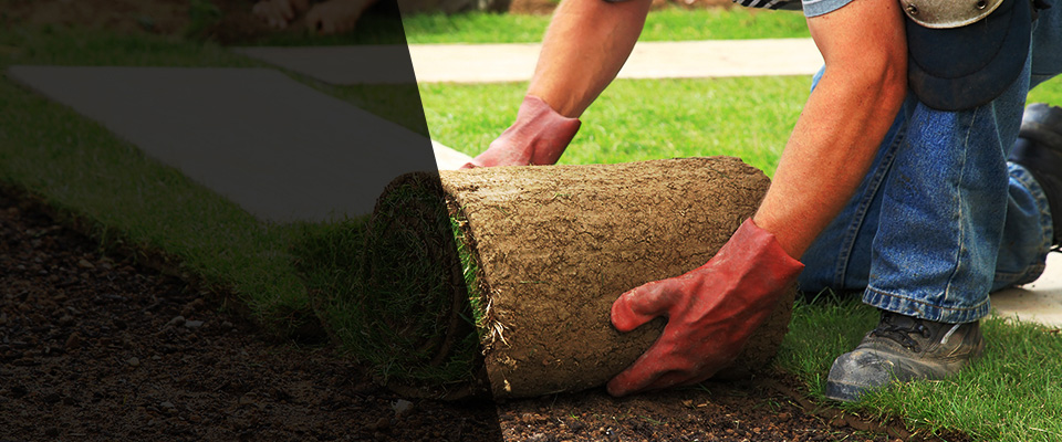 Dresher Landscapers
